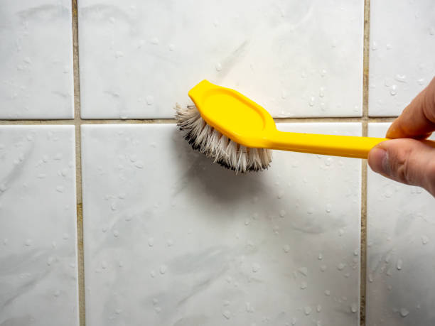 Trusted De Soto, IL Mold Removal Experts
